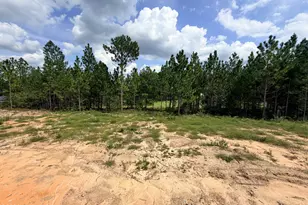 [Address not provided], Cameron, NC 28326 - Photo 60