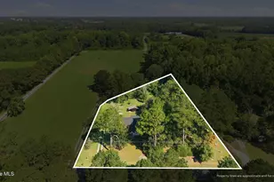 846 Nobles Mill Rd, Deep Run, NC 28525 - Photo 12