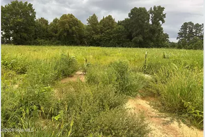 8068 Clarendon Chadbourn Road, Chadbourn, NC 28431 - Photo 6
