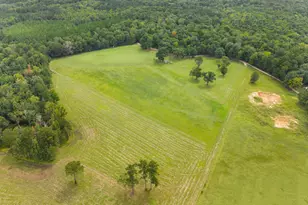 3964 Ga Hwy 17 S, Millen, GA 30442 - Photo 50