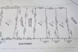 Lot 1 Elm St, Belhaven, NC 27810 - Photo 1