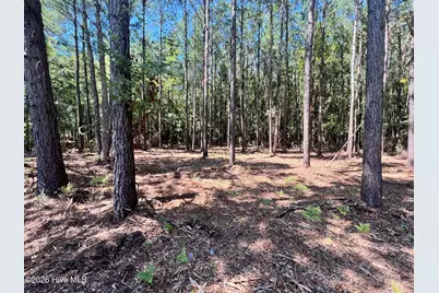 Lot 3 Elm Street, Belhaven, NC 27810 - Photo 4