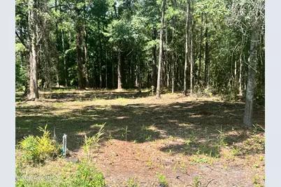 Lot 3 Elm Street, Belhaven, NC 27810 - Photo 2