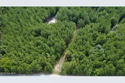 239 Lick Creek Road, Carthage, NC 28327 - Photo 10