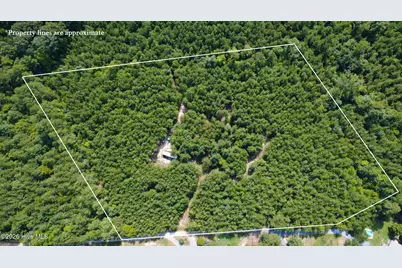 239 Lick Creek Road, Carthage, NC 28327 - Photo 2