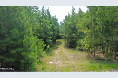 239 Lick Creek Road, Carthage, NC 28327 - Photo 6