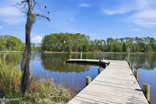 931 Schrams Beach Rd, Belhaven, NC 27810 - Photo 4
