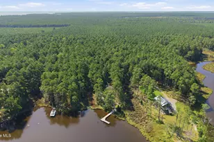 931 Schrams Beach Rd, Belhaven, NC 27810 - Photo 12