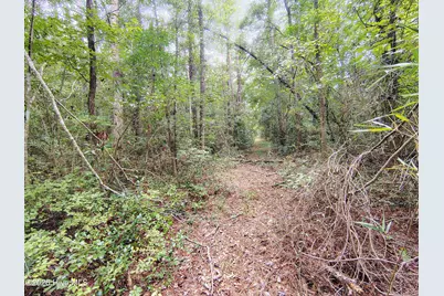 Lot 45 Near 519 Deer Lane, Tabor City, NC 28463 - Photo 10