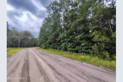 Lot 45 Near 519 Deer Lane, Tabor City, NC 28463 - Photo 6