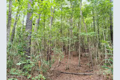 Lot 45 Near 519 Deer Lane, Tabor City, NC 28463 - Photo 8