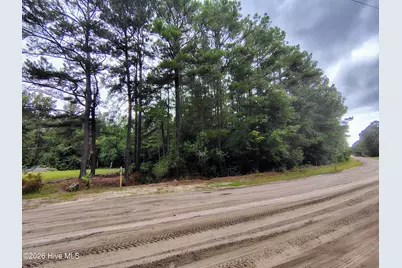 Lot 45 Near 519 Deer Lane, Tabor City, NC 28463 - Photo 2