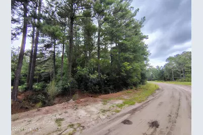 Lot 45 Near 519 Deer Lane, Tabor City, NC 28463 - Photo 1