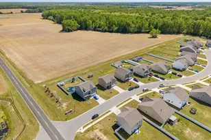 4413 Marthas Vlg Ln, Ayden, NC 28513 - Photo 48