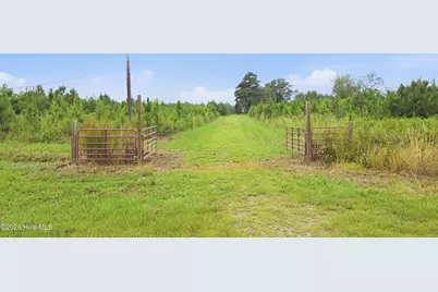 795 Pollard Swamp Road, Vanceboro, NC 28586 - Photo 8