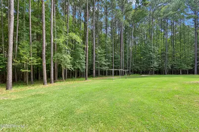 8023 Tobiano Court, Lucama, NC 27851 - Photo 38