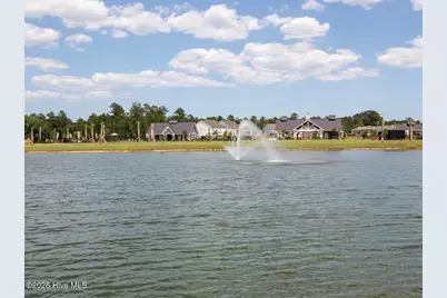 5436 Mistflower Street #Lot 1029, Leland, NC 28451 - Photo 32