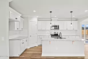 3030 Falcon Ct, Deep Run, NC 28525 - Photo 8