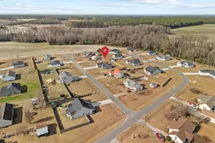 3030 Falcon Ct, Deep Run, NC 28525 - Photo 40