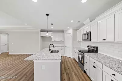 3030 Falcon Court, Deep Run, NC 28525 - Photo 10