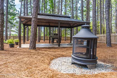 4 Whitman Court, Foxfire Village, NC 27281 - Photo 64