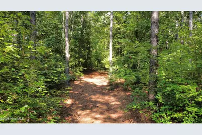 0 Richardson Road, Warrenton, NC 27589 - Photo 10