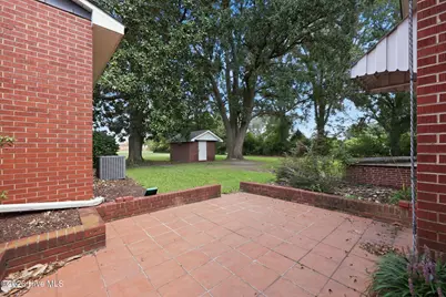 2877 Tyndall Williams Drive, Deep Run, NC 28525 - Photo 42