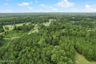 30 Mitchell-Brown Rd NE, Bolivia, NC 28422 - Photo 32