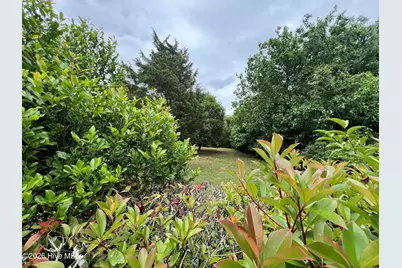1221 S 8th Street, Wilmington, NC 28401 - Photo 6