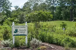 101 Tar Ln, Chocowinity, NC 27817 - Photo 28
