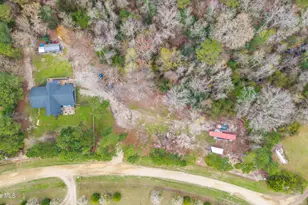 259 Heathers Folly Rd, Willard, NC 28478 - Photo 40