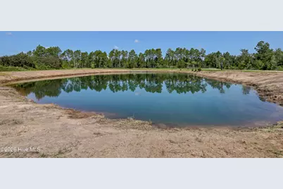 250 Pilchers Branch Road, Holly Ridge, NC 28445 - Photo 52