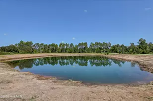 250 Pilchers Branch Rd, Holly Ridge, NC 28445 - Photo 52