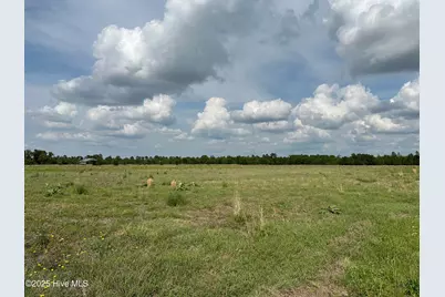 Tract 2 McGirt Road, Maxton, NC 28364 - Photo 2