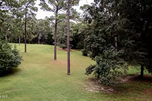 292 Bump a Long Ln, Southern Pines, NC 28387 - Photo 60