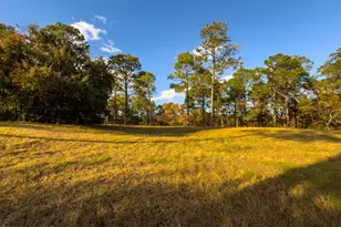 292 Bump a Long Ln, Southern Pines, NC 28387 - Photo 4