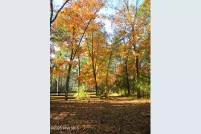 292 Bump A Long Lane, Southern Pines, NC 28387 - Photo 72