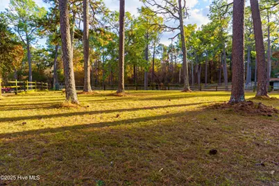 292 Bump A Long Lane, Southern Pines, NC 28387 - Photo 24