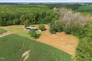 2141 Cannon Rd, Hobgood, NC 27843 - Photo 32