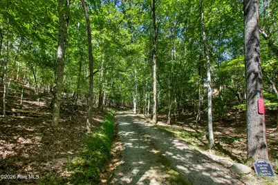 241 Bunny Run, Murphy, NC 28906 - Photo 4