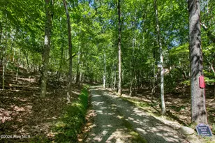 241 Bunny Run, Murphy, NC 28906 - Photo 4