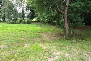 3912 Fred Jones Rd, La Grange, NC 28551 - Photo 58
