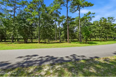 739 Loblolly Drive SW, Shallotte, NC 28470 - Photo 1