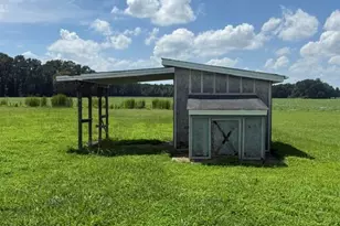 8714 Tyson Farm Rd, Stantonsburg, NC 27883 - Photo 14