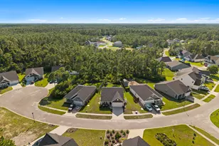 1611 E New Carraway Pl SE, Bolivia, NC 28422 - Photo 48