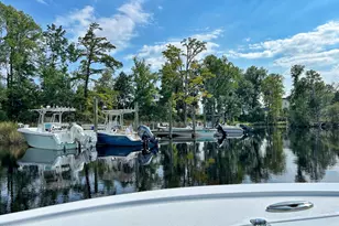 161 S Brightleaf Dr, Minnesott Beach, NC 28510 - Photo 14