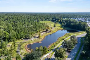 5029 Stoney Point Dr, Leland, NC 28451 - Photo 68