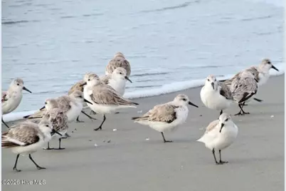 996 Great Egret Circle SW # 3, Sunset Beach, NC 28468 - Photo 30