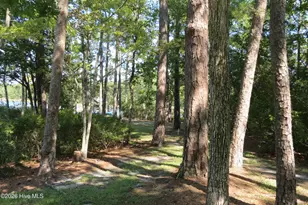 5633 Styron Dr, Oriental, NC 28571 - Photo 64