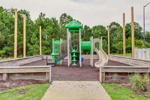 506 W Red Head Cir, Sneads Ferry, NC 28460 - Photo 50